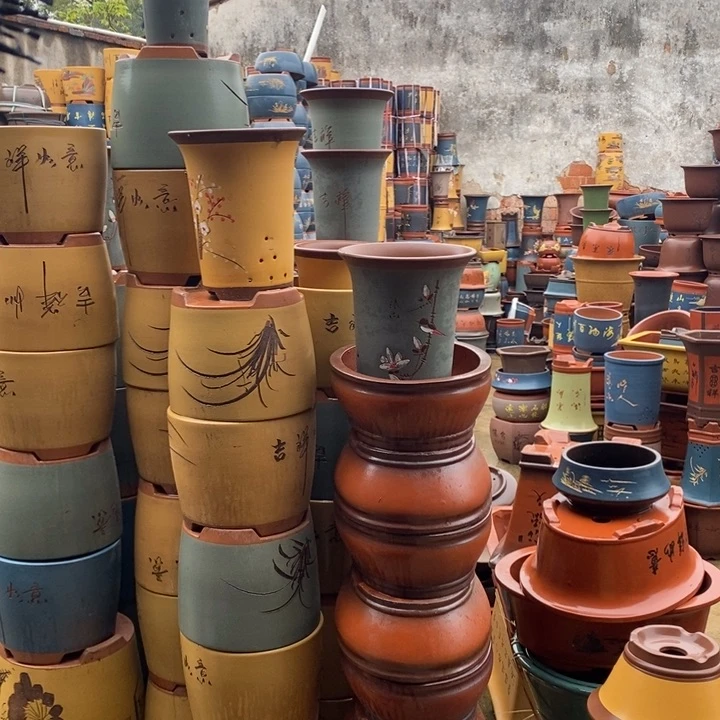 紫砂花盆盆栽花卉苗木种植