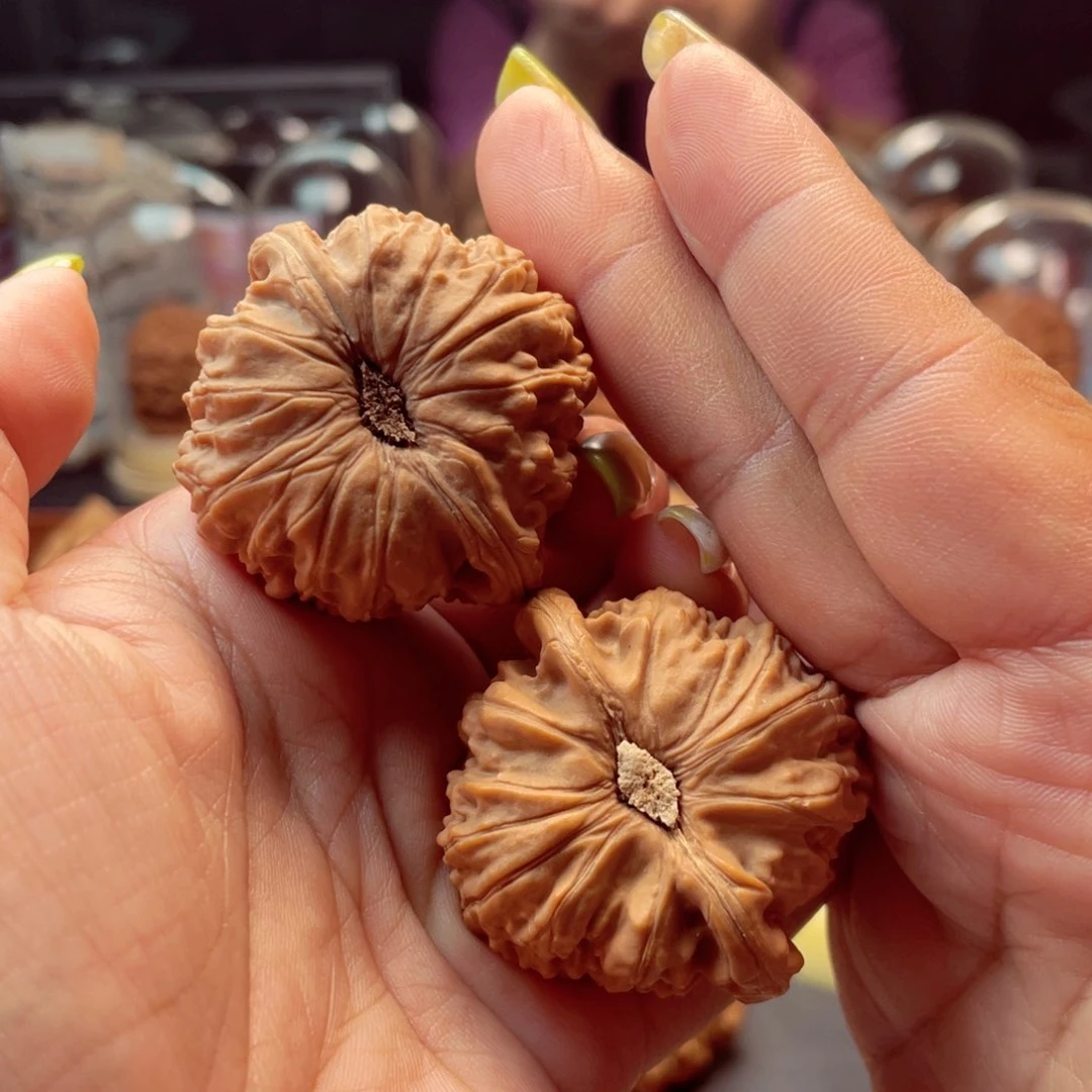 【闪购商品】文玩核桃把件白狮子41