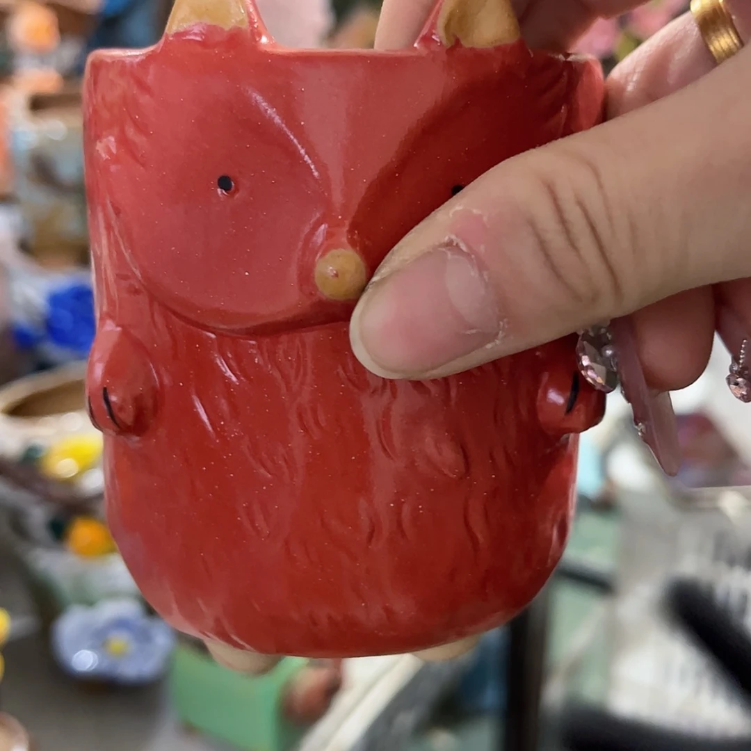 【闪购商品】红陶福利