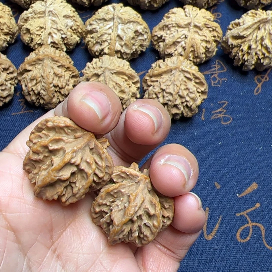 文玩核桃把件秦岭野生植物核桃