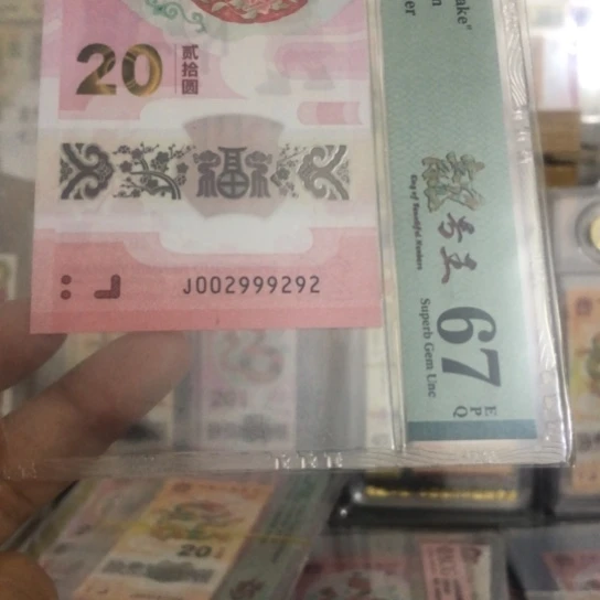 塑料蛇钞002999292