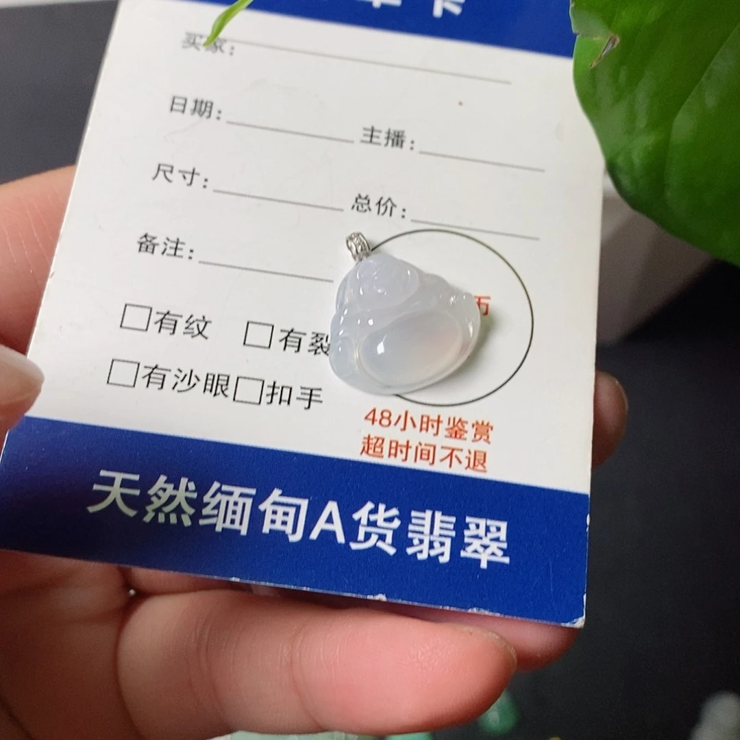 翡翠未镶嵌颈饰嘉****翡翠