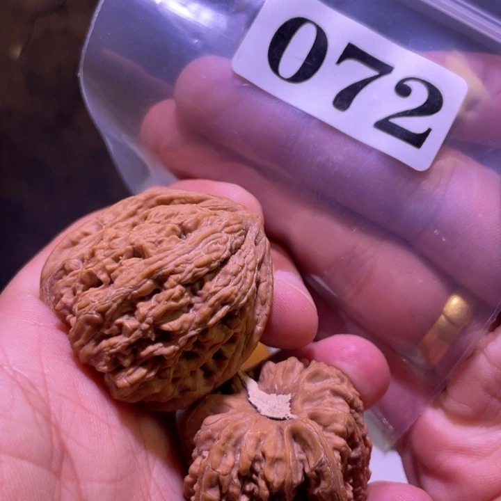 吊坠文玩核桃072密纹36尺