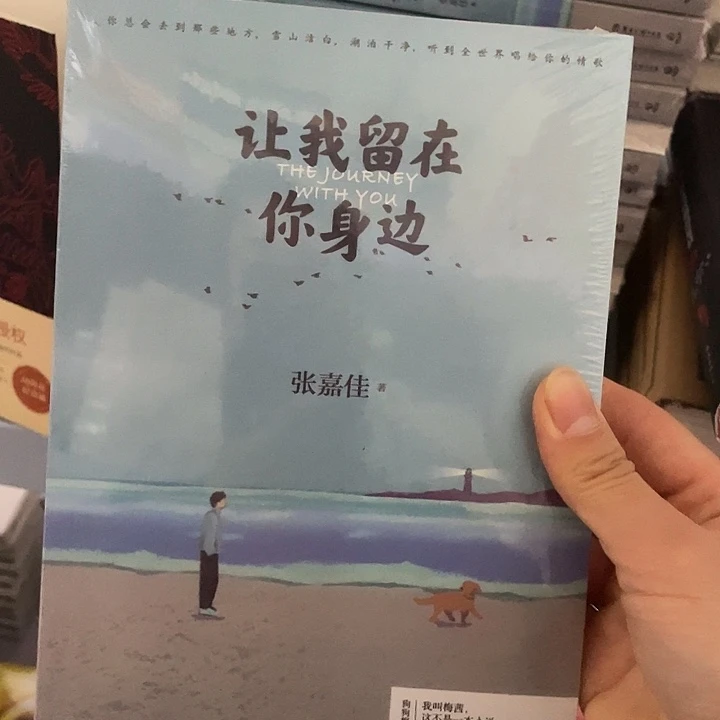 让我留在你身边  平装带塑封