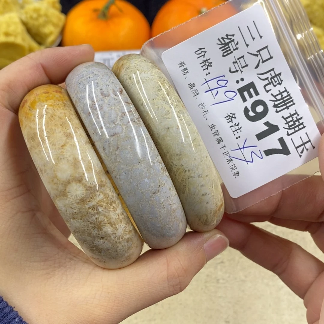 硅化珊瑚(珊瑚玉)1未镶嵌图*