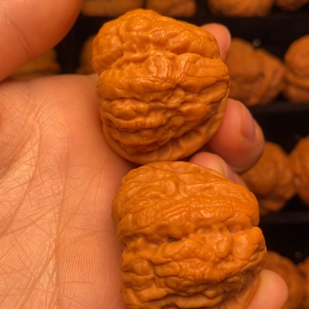 文玩核桃把件秦岭野生核桃