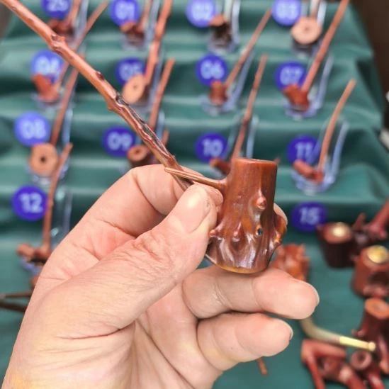 贵州檬子木一物一拍