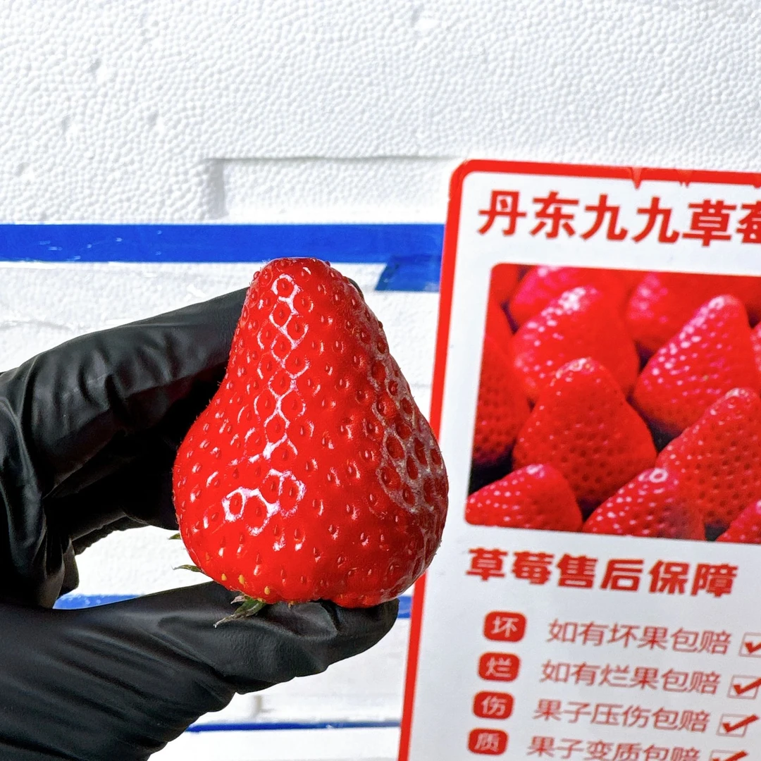 【家庭特惠】正宗丹东99草莓红颜草莓新鲜香甜泡沫箱6斤装