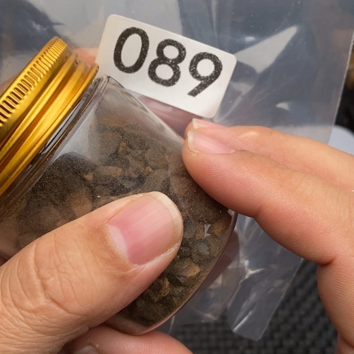 科檀（科特迪瓦檀木）