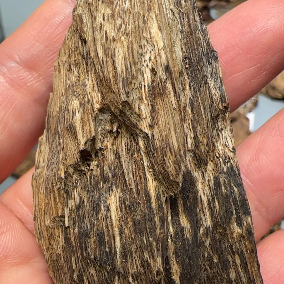 沉香碎屑沉香11.4克文莱黑奇