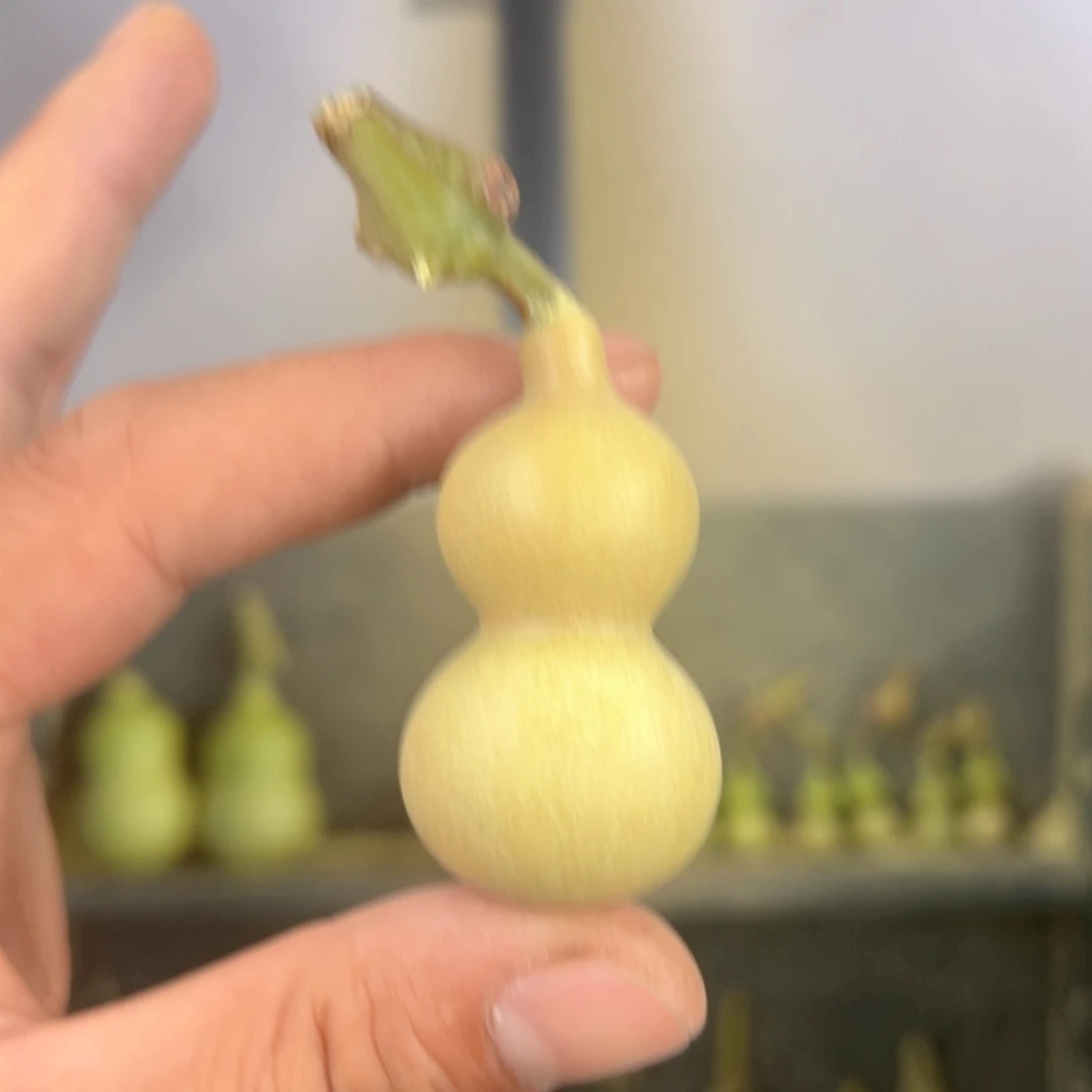 长***羊天津嘴儿葫芦葫芦