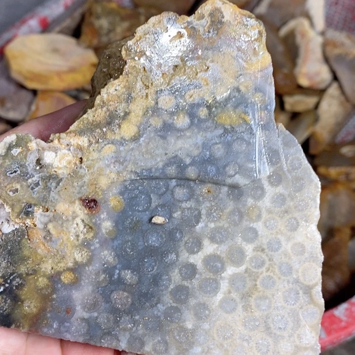 硅化玉未镶嵌颈饰