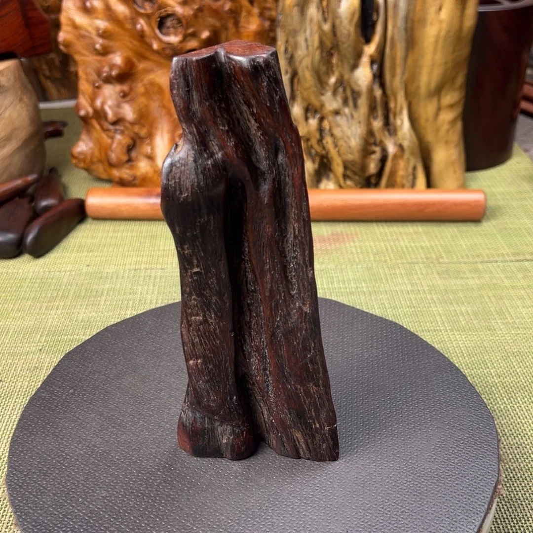 大果紫檀（缅甸花梨）泓