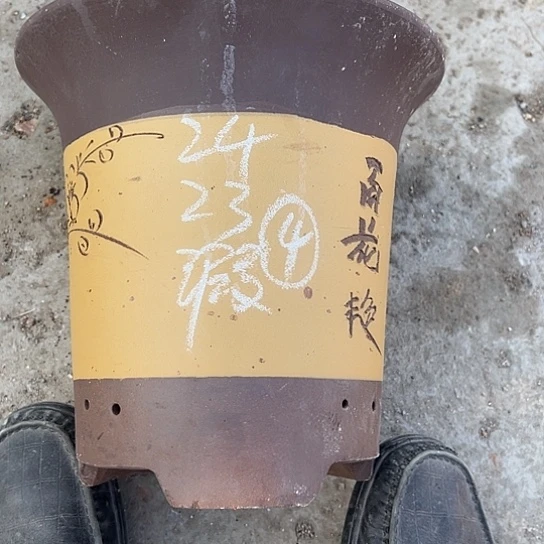 紫砂工艺厂……紫砂工艺厂……