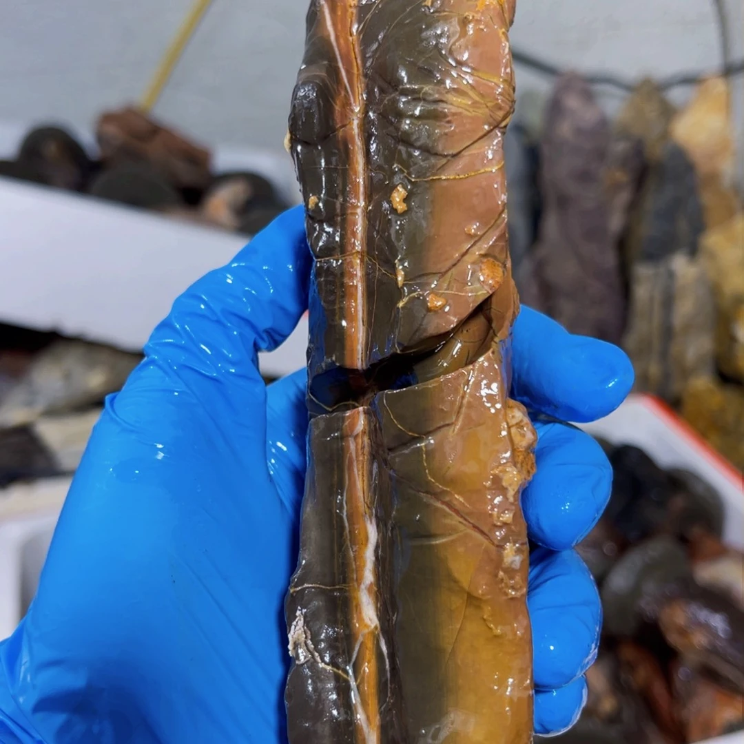 可*了附石盆景一物一拍