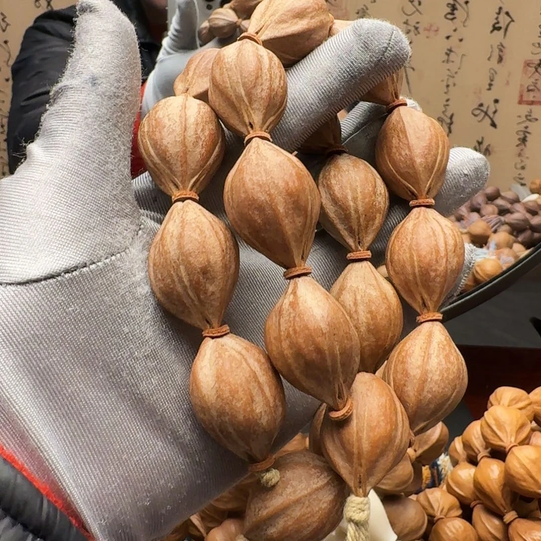 橄榄核手串鲨鱼呗