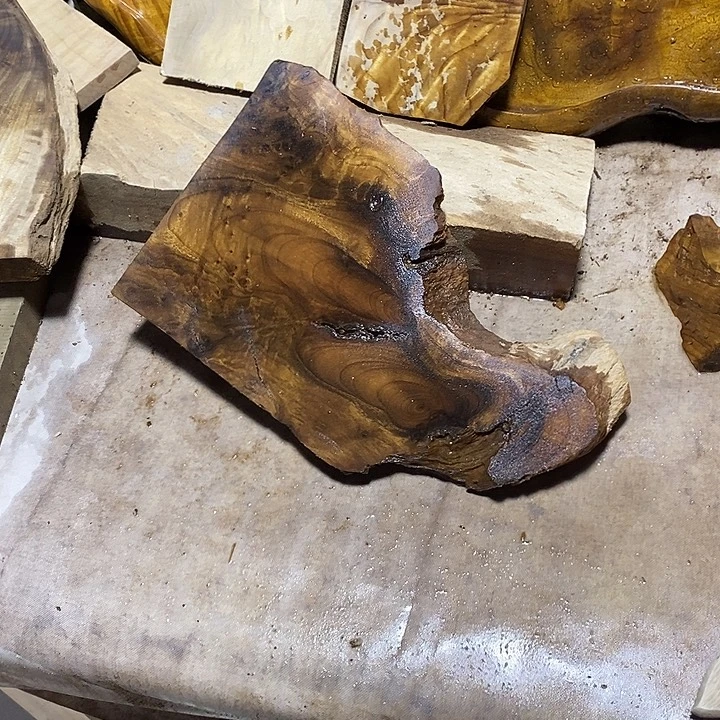 金丝楠木小叶桢楠木