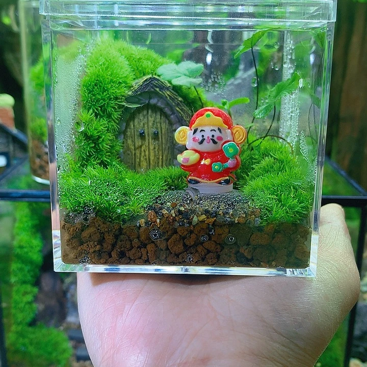 无花朵财神到家啦