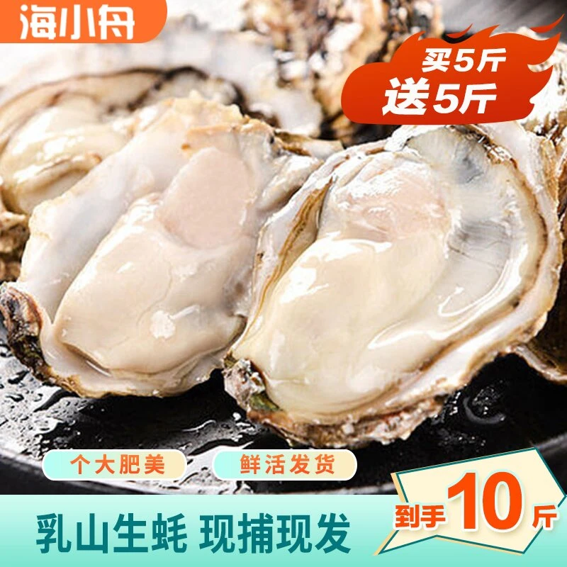 纯正乳山生蚝10斤3-4两/只新鲜个大饱满滋补到家送（蚝刀芥末手套）