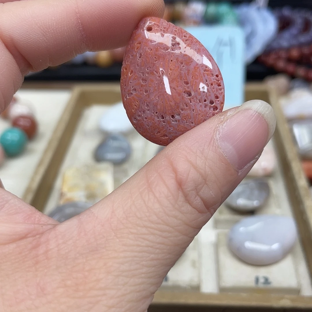 未镶嵌手串硅化珊瑚（珊瑚玉）R*332