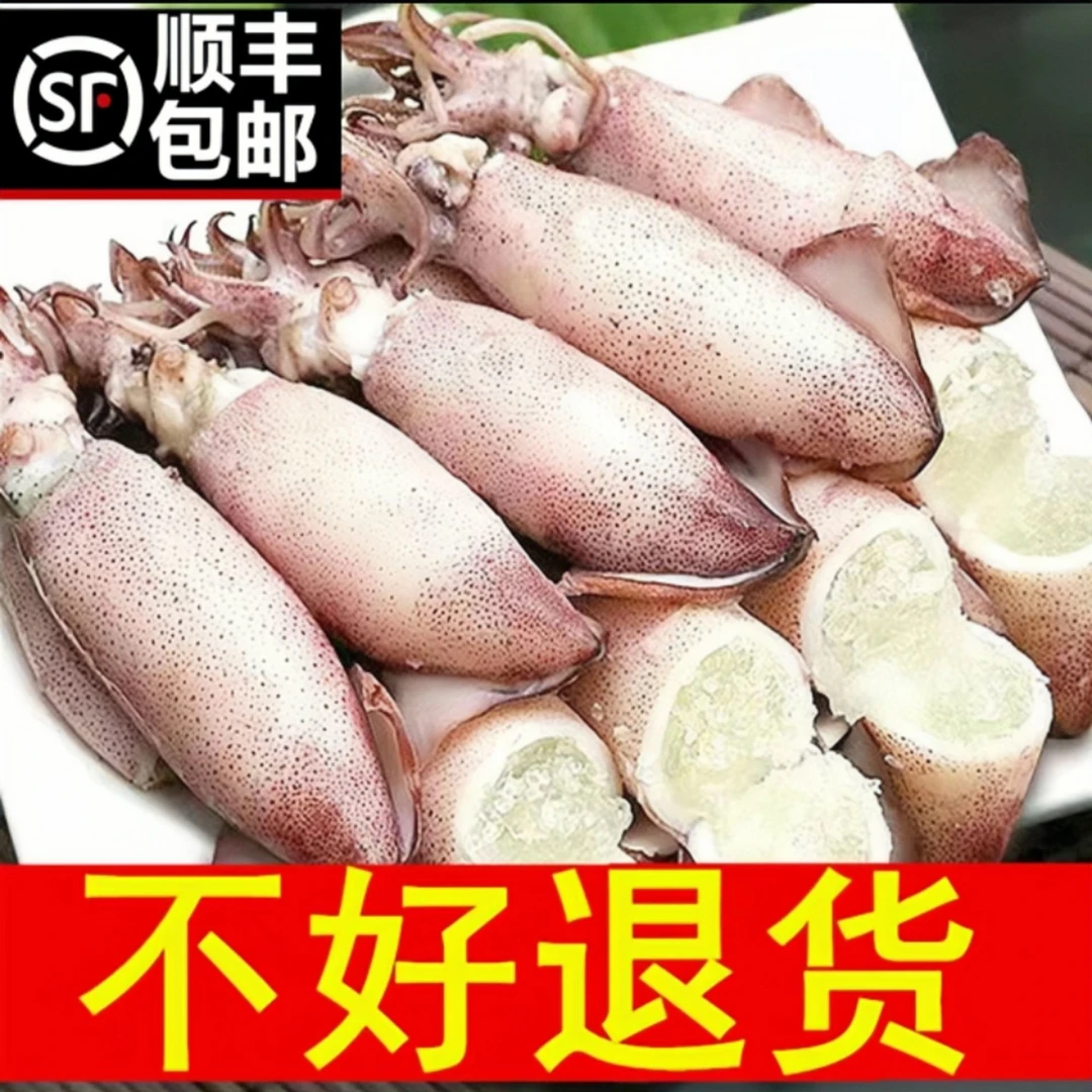 【4包】顺丰包邮籽乌海兔子满籽小鱿鱼带籽笔管鱼熟冻水产