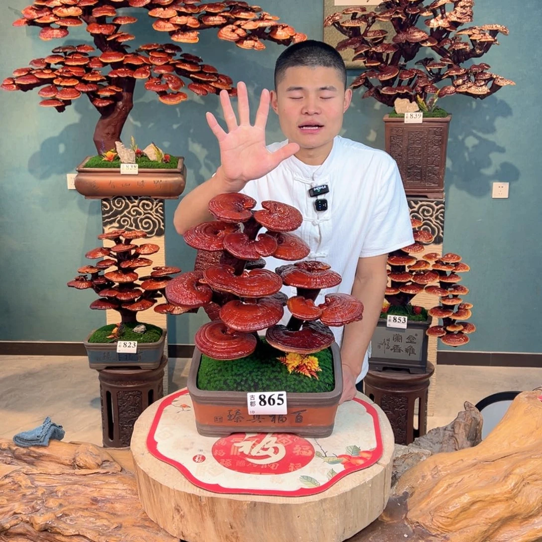 无花朵988888888888888