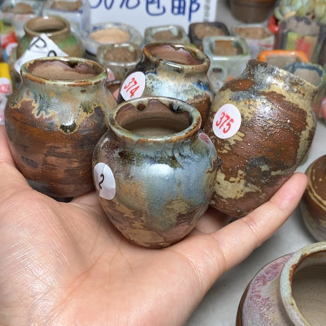 ?***啡拍5送一个小礼物