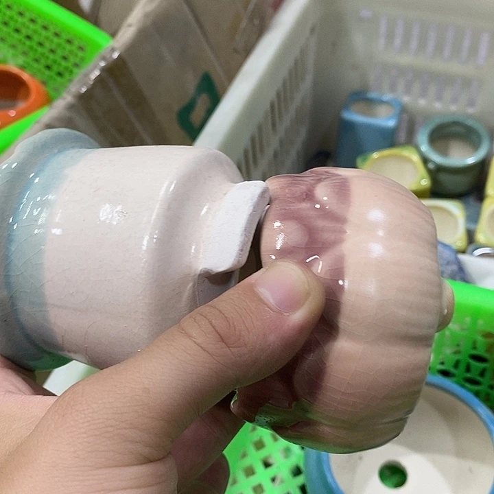 花盆抢购清货马上开始