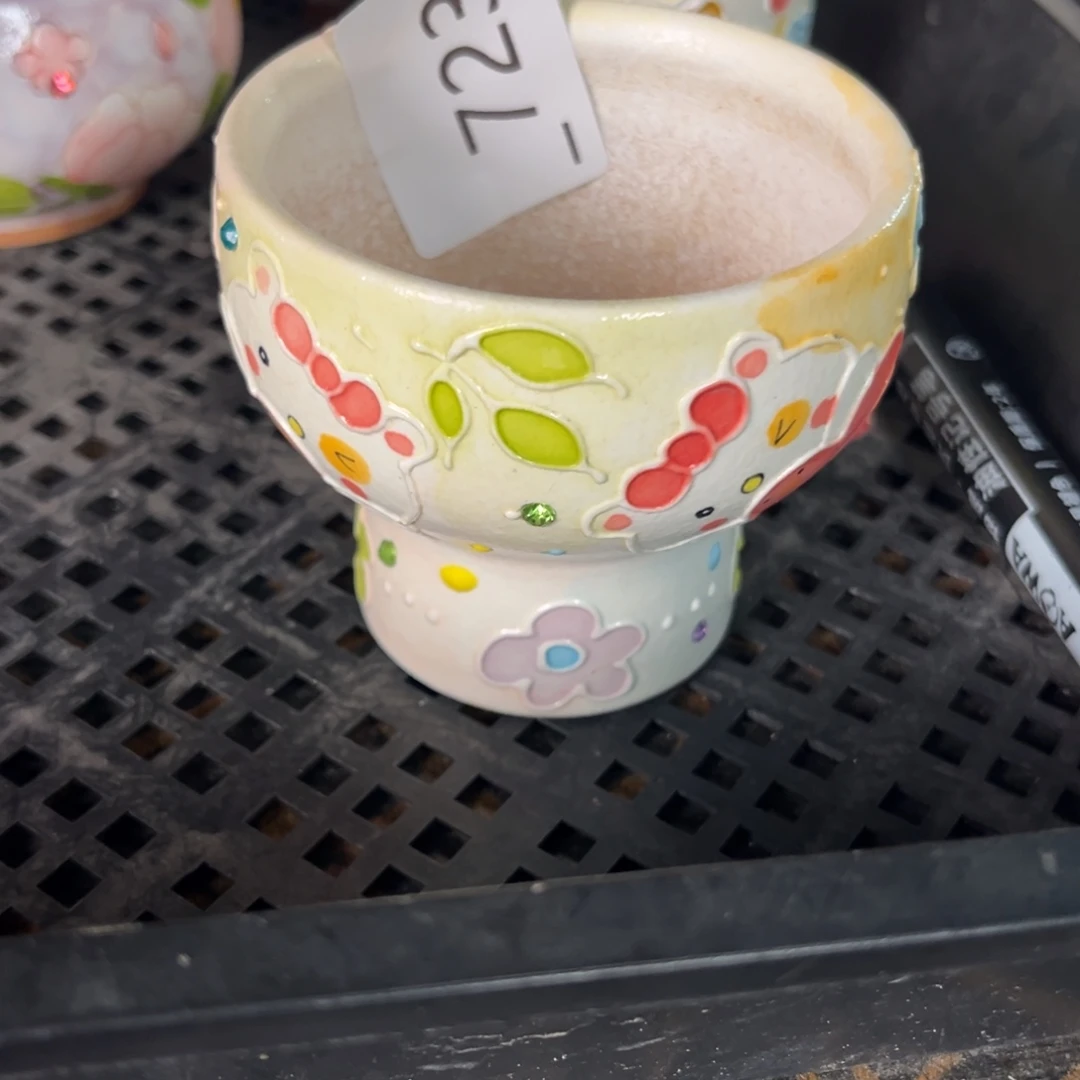****的723多肉花盆25元1个