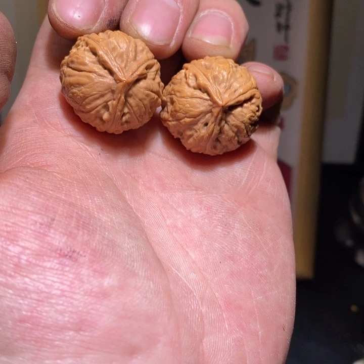 文玩核桃把件35一物一图