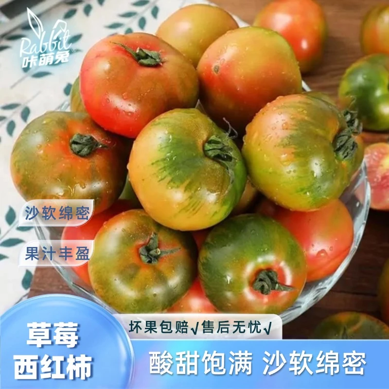 【咔萌兔】东北草莓西红柿4斤番茄浓郁酸甜可口