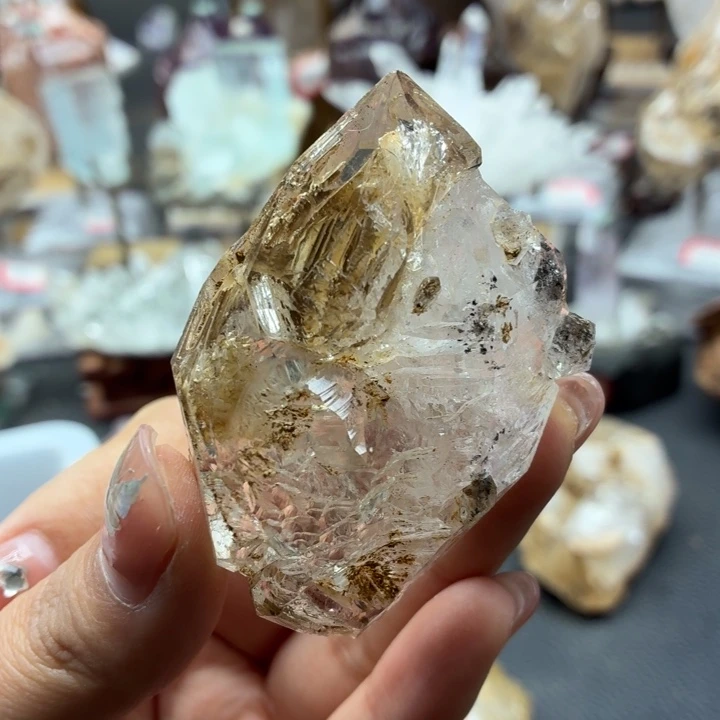 有机玻璃黄泥骸骨