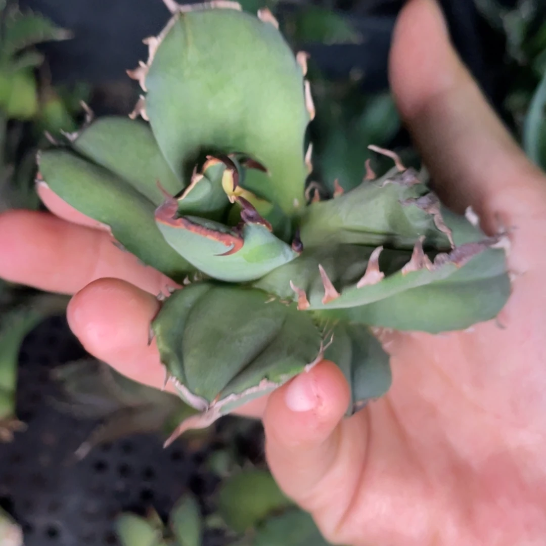 海報888888888888888