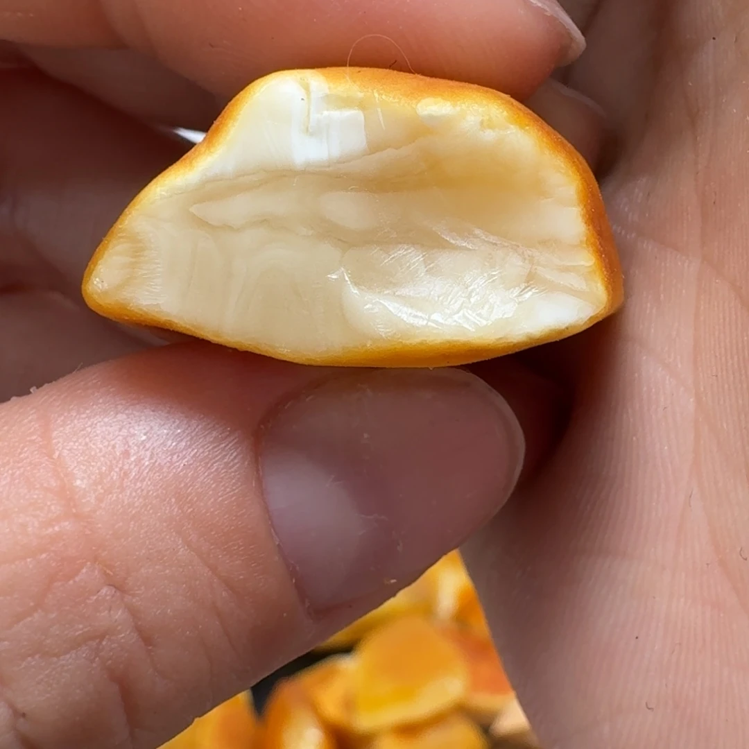 定制琥珀未镶嵌纯天然蜜蜡原石定制不支持退换