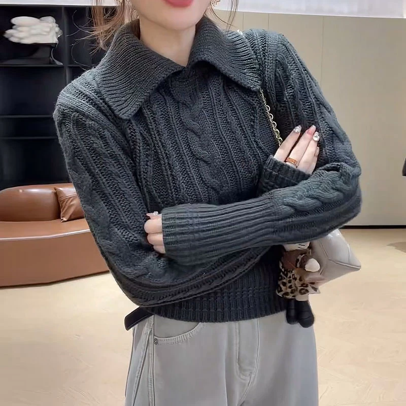 韩系慵懒polo翻领毛衣女秋冬季2025新款内搭打底针织衫上衣设计感