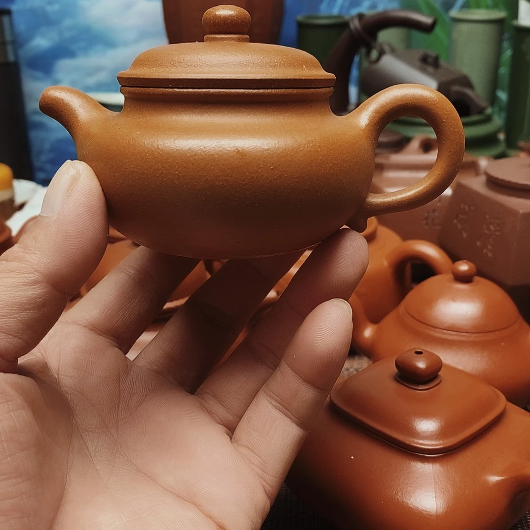 绿泥23号12567886557899