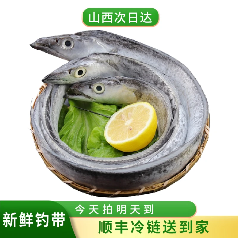 【带鱼中刀】冷水钓带5斤装（13-16条）只发山西今天拍明天到带鱼同城送