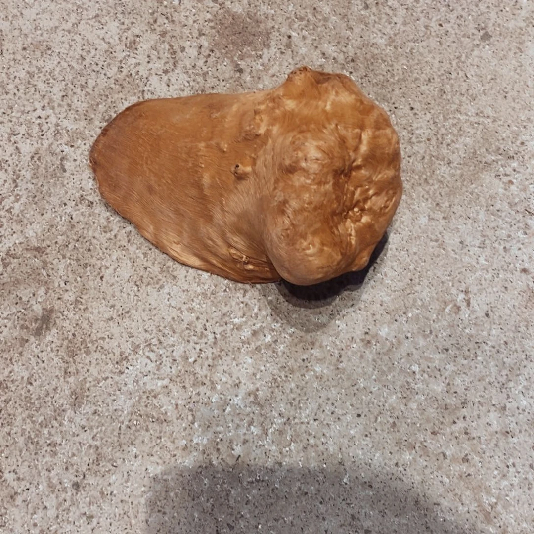 江***人荔枝木随形木材一个