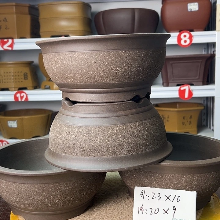 花盆紫砂你在一起