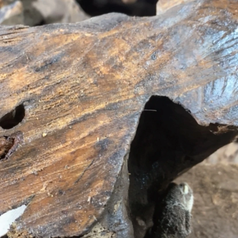 【闪购商品】贡木其他金****8私人订制