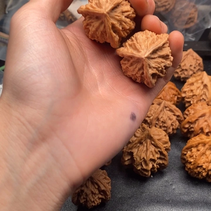 5555555555555555555555555