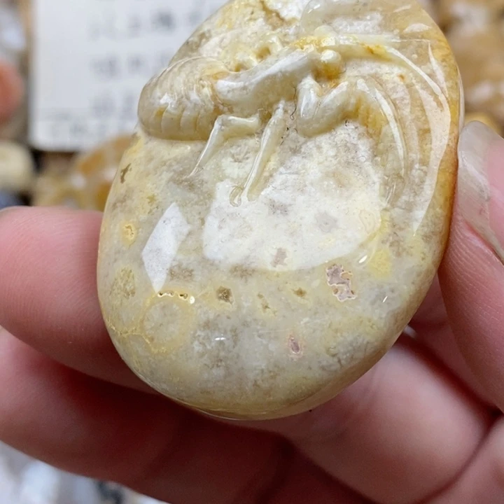 颈饰未镶嵌硅化珊瑚（珊瑚玉）