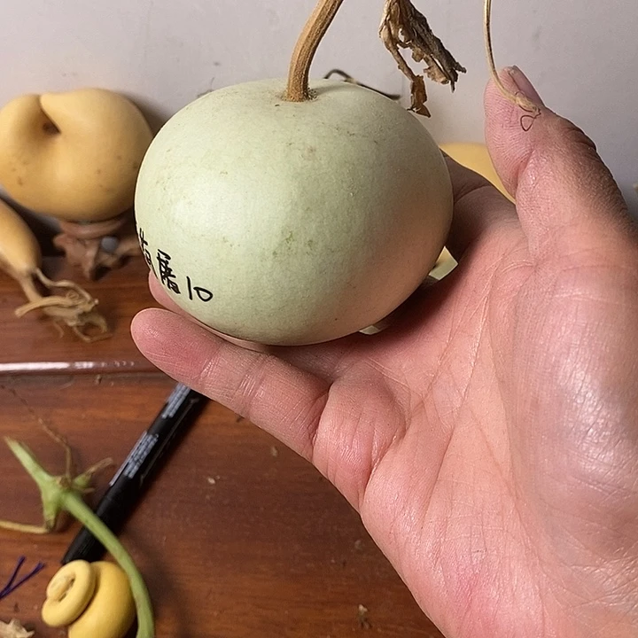雾***i青皮腰子葫芦手把件葫芦