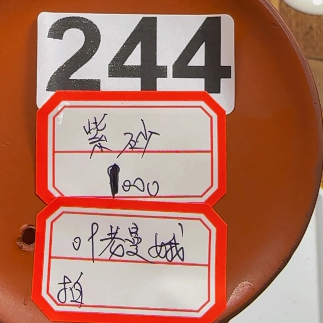 虎***哥紫砂…………………244……………………………………