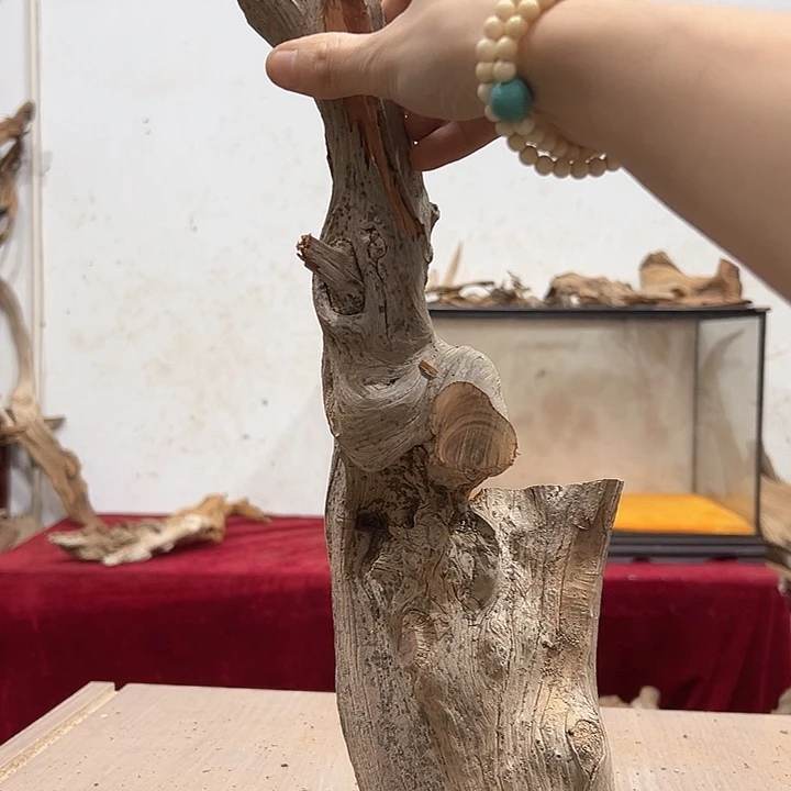 柏木提**哥我们都是好孩子呀我也是
