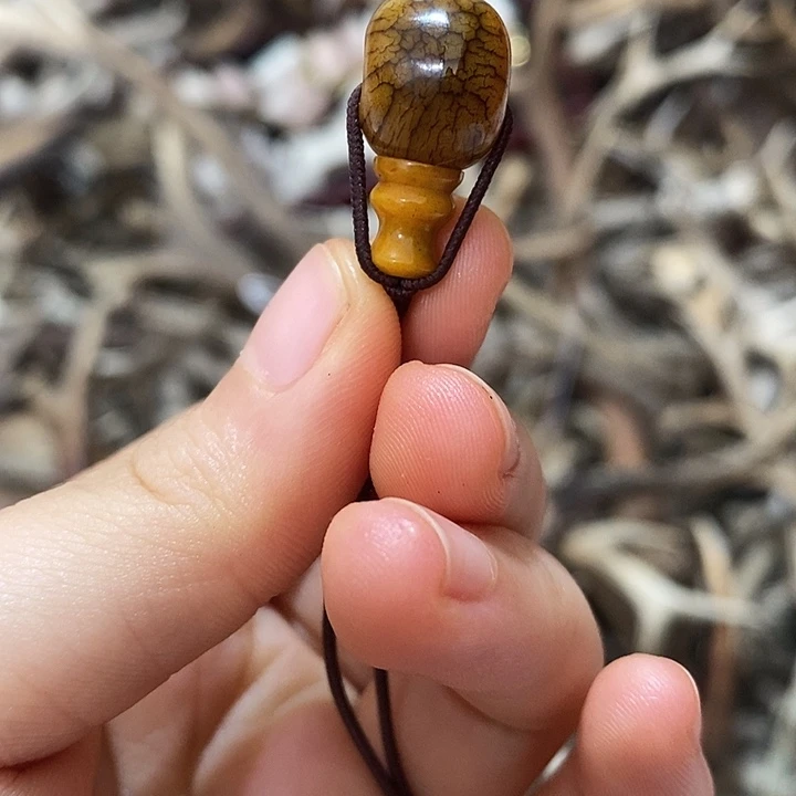 无非金属牛骨牛骨