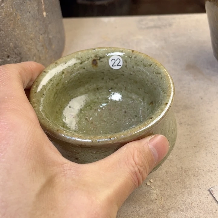 茶宠盏盏灯都是我的爱啊