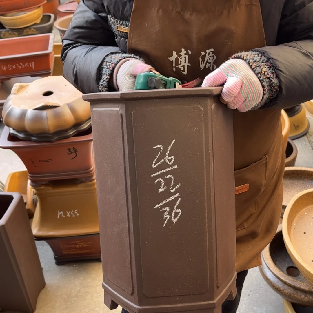 花盆紫砂盆景艺术