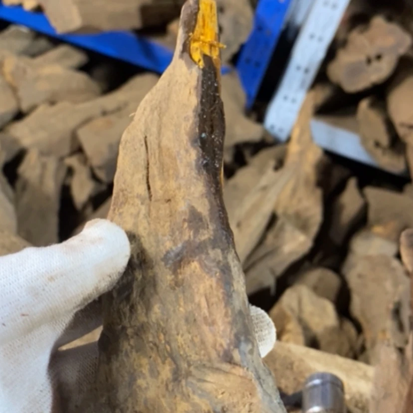 【闪购商品】贡木手串越**嘿私人订制