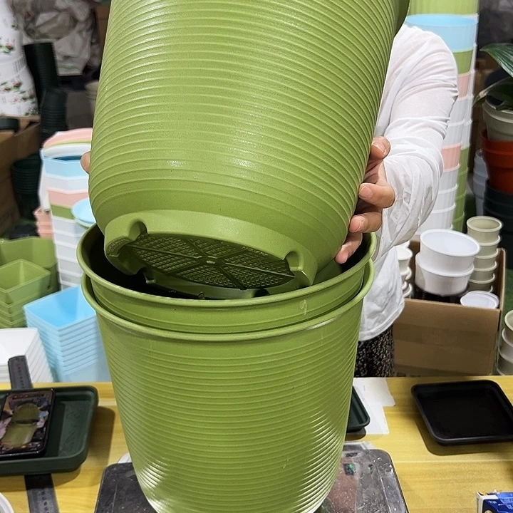 高陶口27高27果绿色3个无托